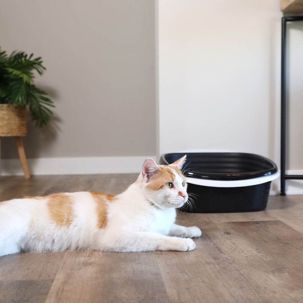 Sifting Cat Litter Box, 2 Open Top Plastic Cat Litter Pans and Cat Litter Tray, Large, Black and White