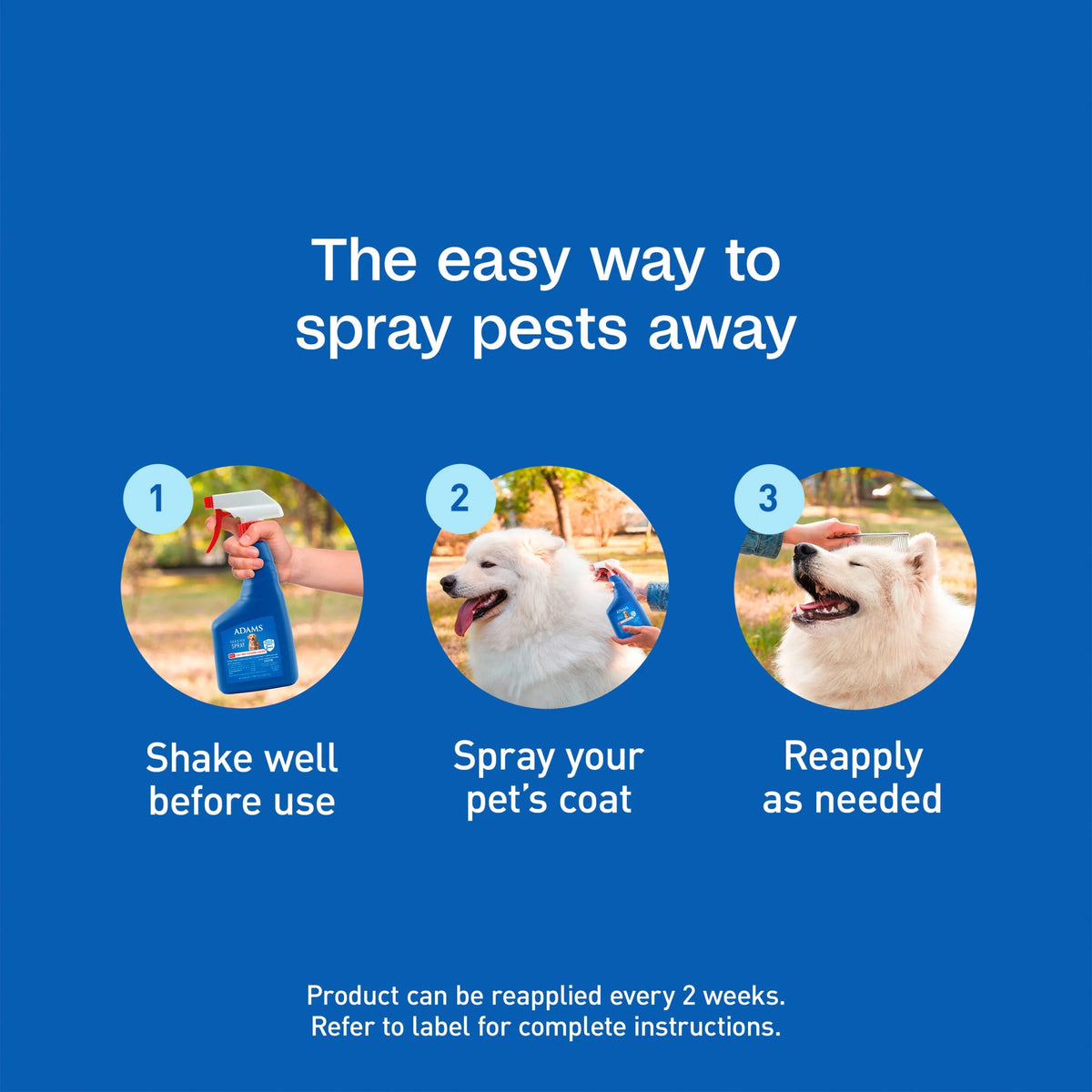 (3 Pack)  Flea & Tick Dog and Cat Spray, Kills Fleas and Ticks, Prevents Flea Infestations for up to 2 Months, Flea Treatment for Dogs, Cats, Puppies & Kittens, 16 Fl Oz