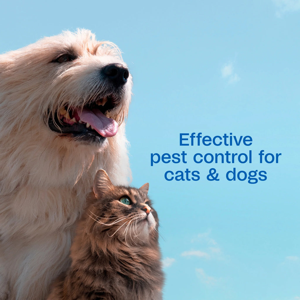(3 Pack)  Flea & Tick Dog and Cat Spray, Kills Fleas and Ticks, Prevents Flea Infestations for up to 2 Months, Flea Treatment for Dogs, Cats, Puppies & Kittens, 16 Fl Oz
