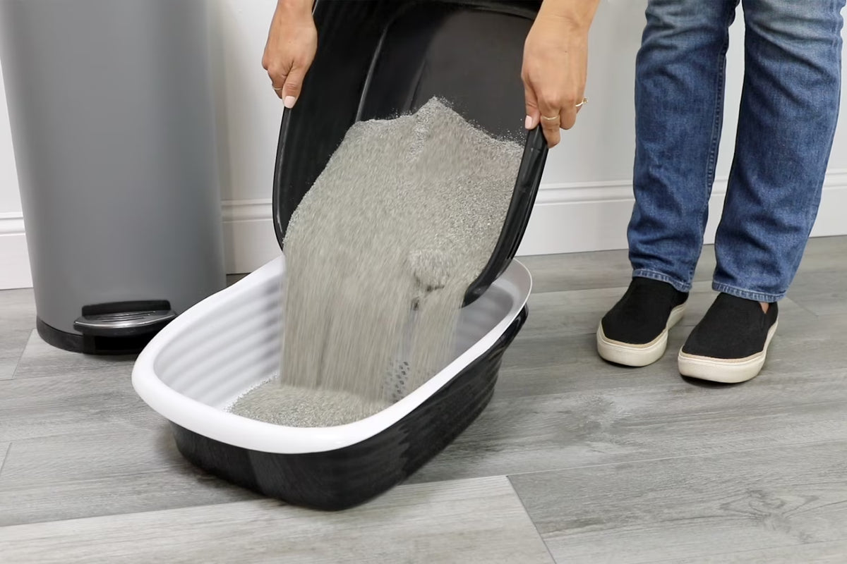 Sifting Cat Litter Box, 2 Open Top Plastic Cat Litter Pans and Cat Litter Tray, Large, Black and White